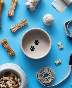 Pet Accessories